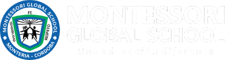 Montessori Global School